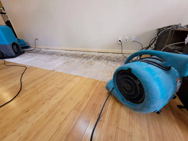 Professional Water Damage Repair technician working in Preston, IA